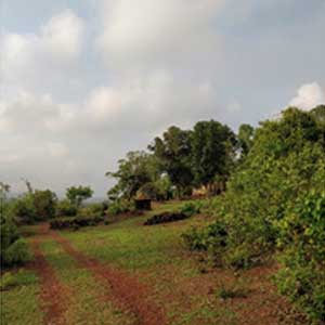 bhogoli temple trail